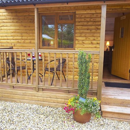 Firs Cottage Bed & Breakfast Leominster Quarto foto
